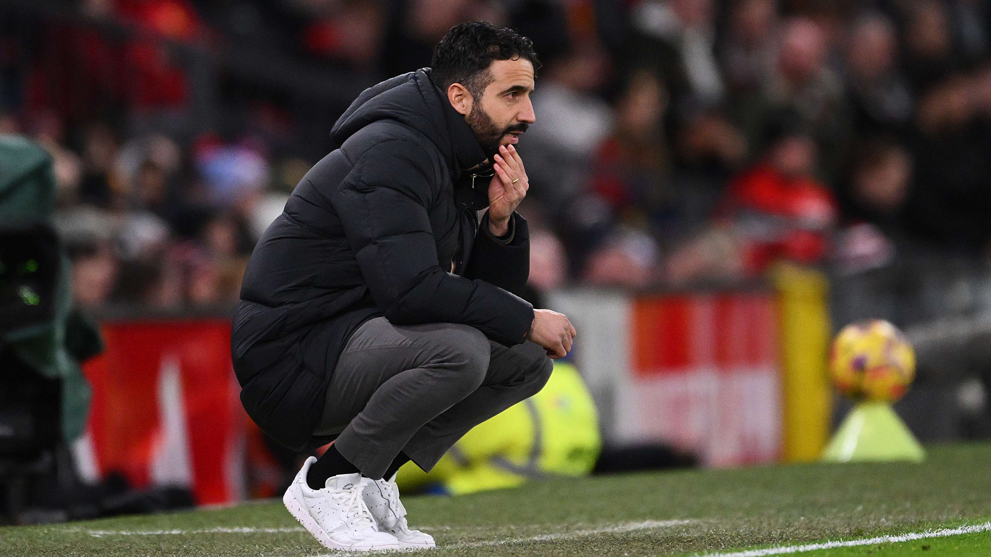 供了稳定的 供了稳定的